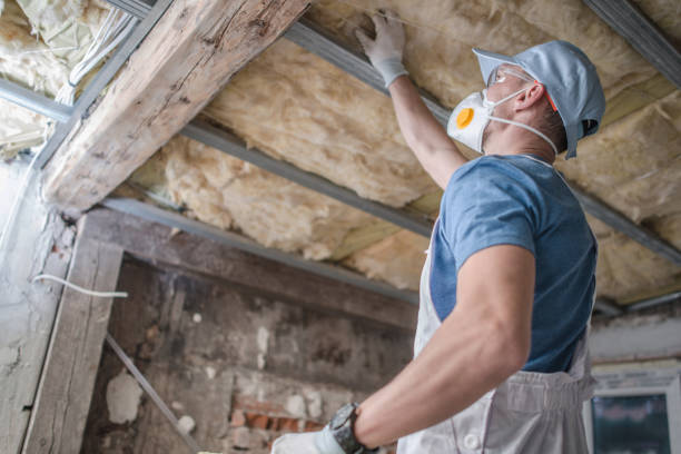 Best Best Insulation Companies  in Avondale Estates, GA