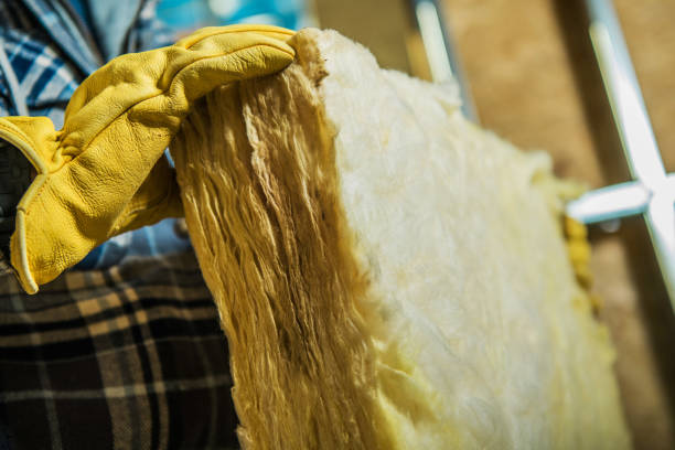 Best Insulation Contractors for Homes  in Avondale Estates, GA