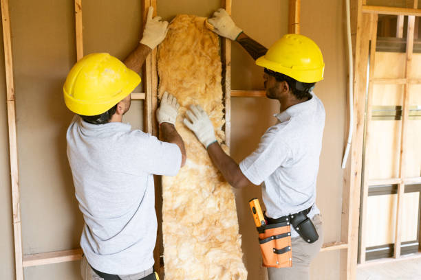 Best Commercial Insulation Contractor  in Avondale Estates, GA