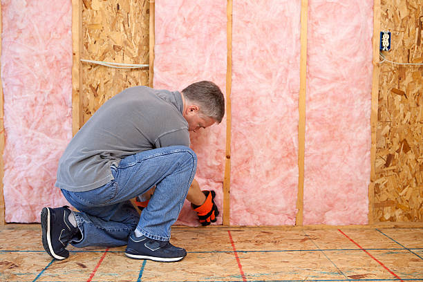 Professional Insulation Contractor in Avondale Estates, GA